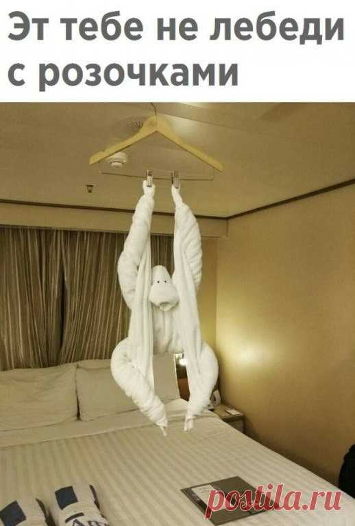 Мысли.Стихи.Юмор.