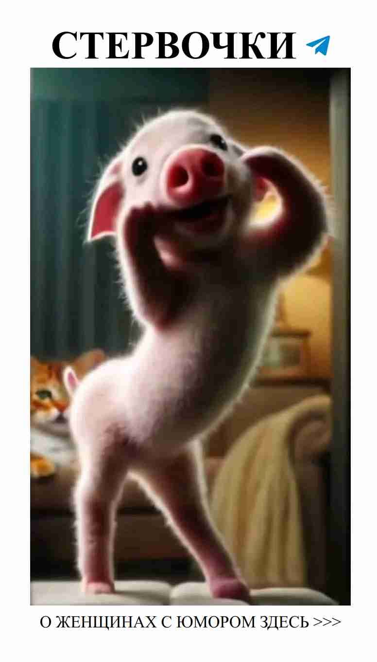 Любовь в шутках: смех и радость в каждом моменте