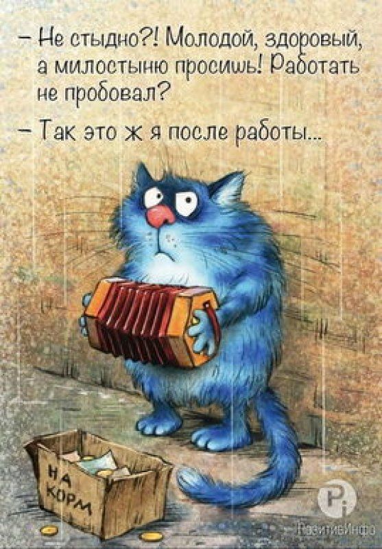 Улыбнуло 😂😂😂