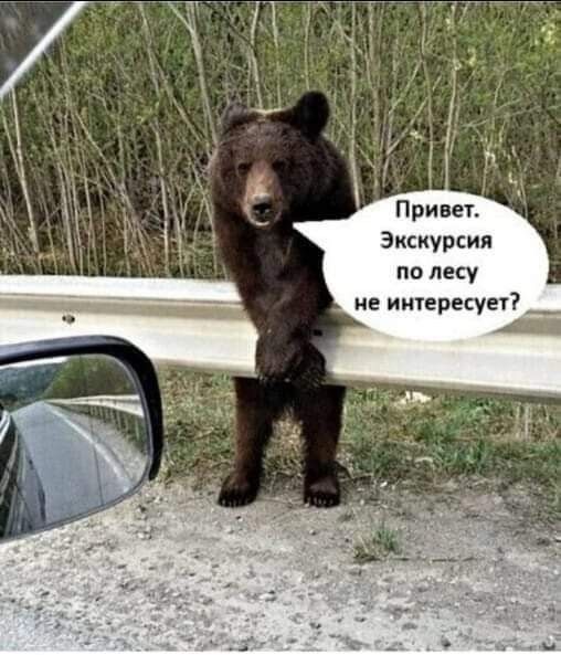 вылетые экскурсоводы в Санкт-Петербурге