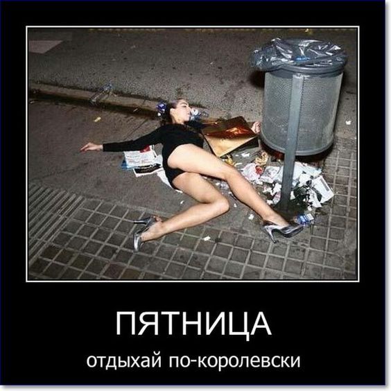 картинки смешные842