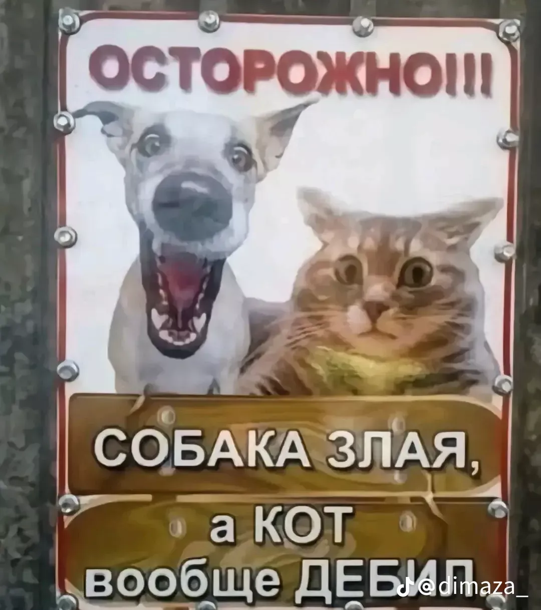 осторожно злая собака🙄🙄