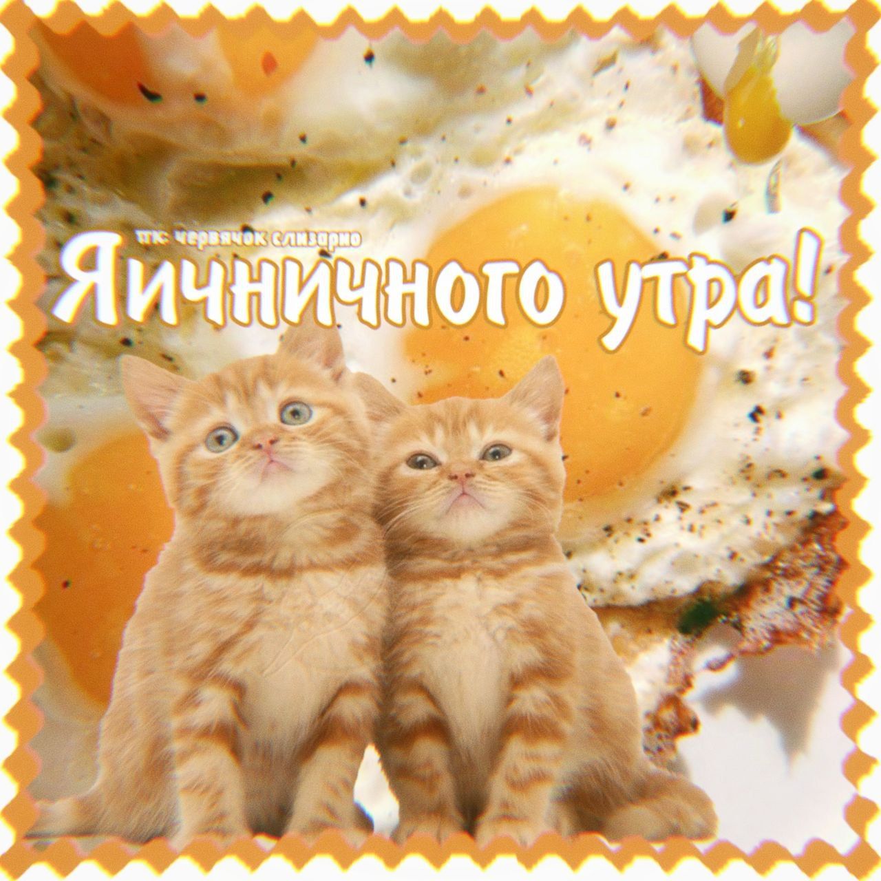 открытка ^^. 🍳