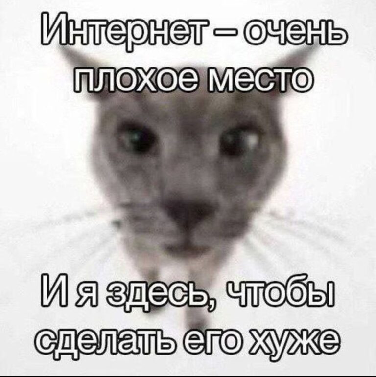 Интернет – очень плохое место и я Здесь, чтобы сделать его хуже
