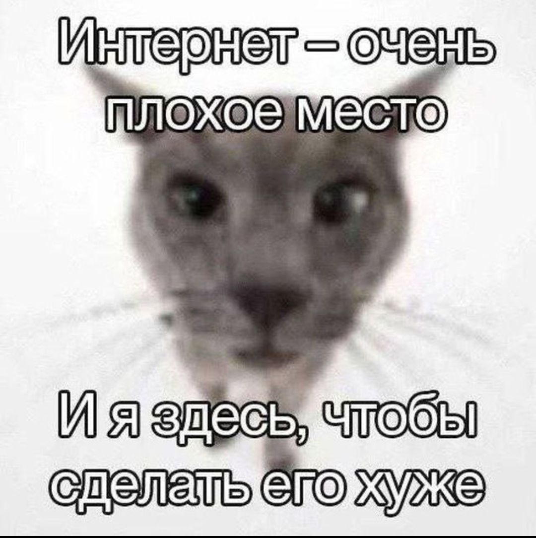 Интернет – очень плохое место и я Здесь, чтобы сделать его хуже