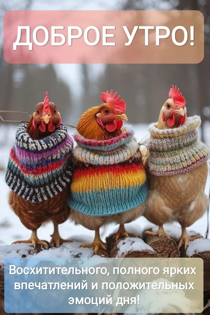 доброе утро 🌞😘💓💓