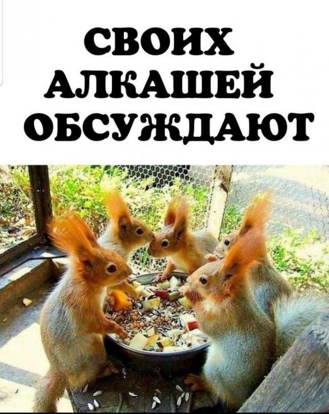 Для отличного настроения! (30 фото) » Клопик.КоМ