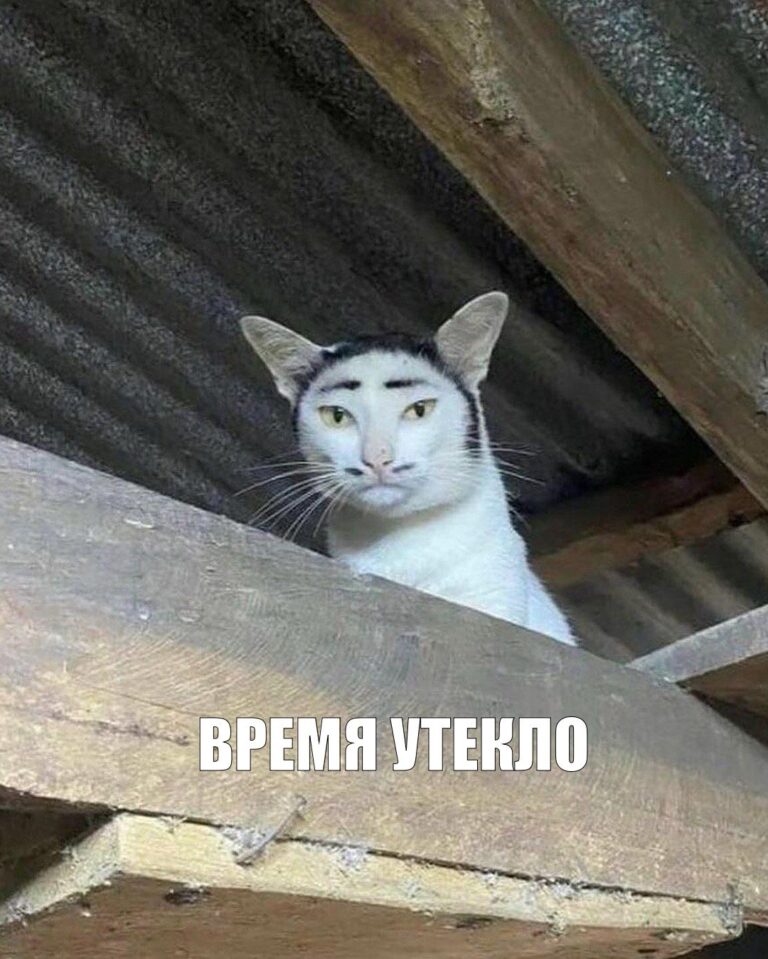 с отсылочкой на Пикассо