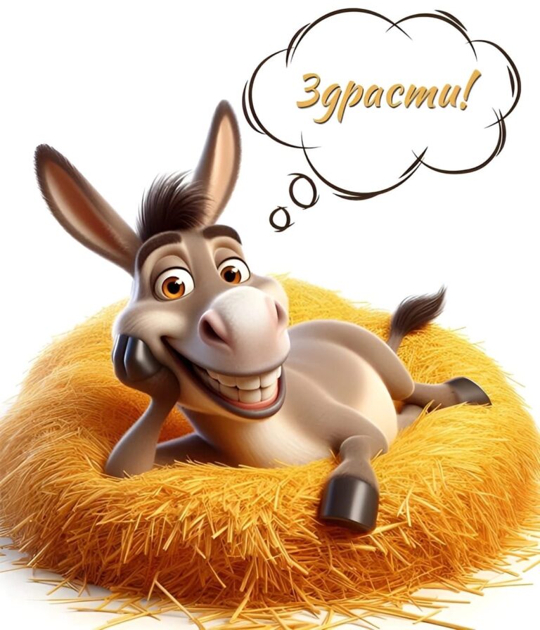 драсте дяди и тёти