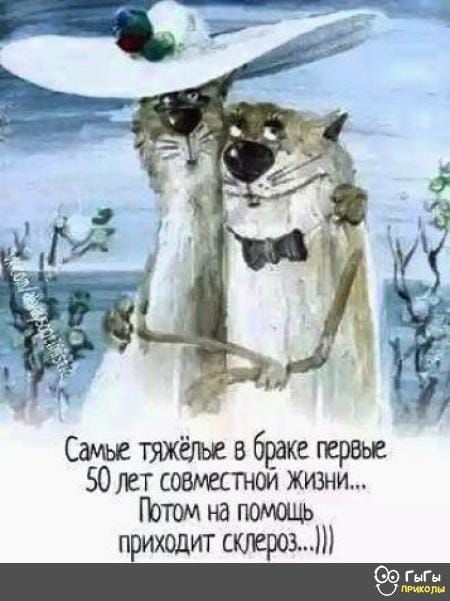 Слова и фразы (афоризмы, юмор, цитаты) | Facebook