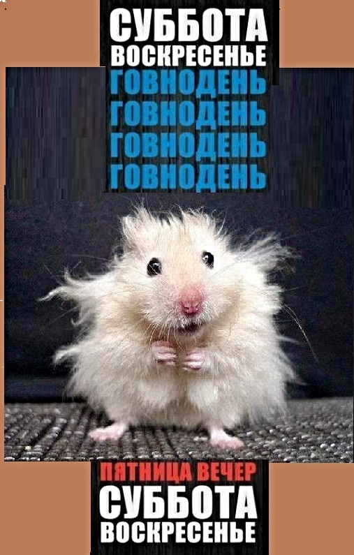 Картинки с надписями и анекдоты – ЯПлакалъ