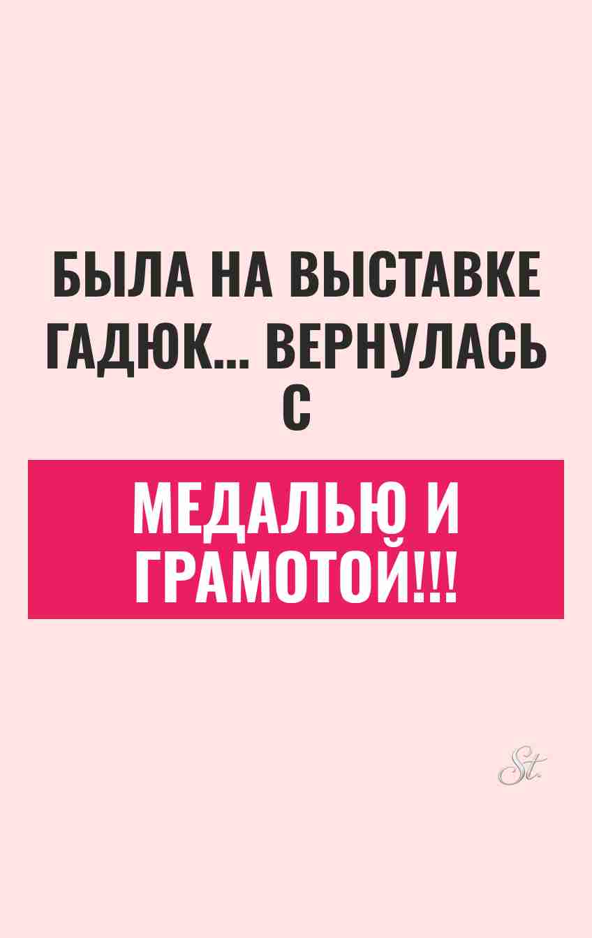 Смешные цитаты о запасных вариантах